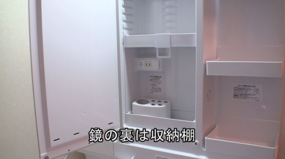 鏡裏収納